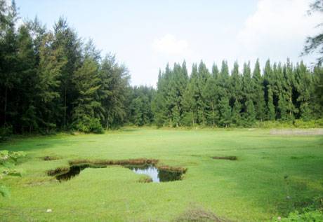 Về Vân Đồn Thăm Đảo Ngọc Vừng - Ảnh 2