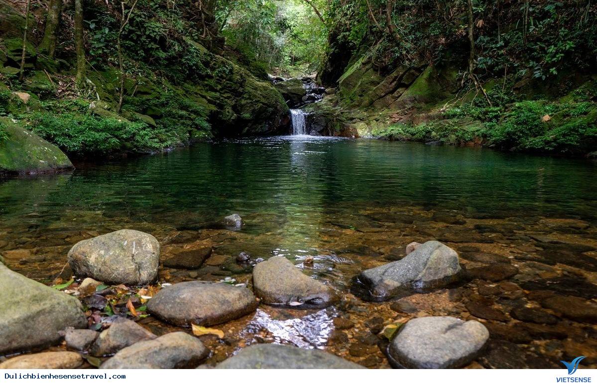 Vườn quốc gia Bạch Mã